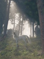 The sentinel