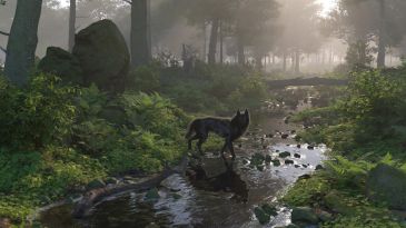 Deep in the forest