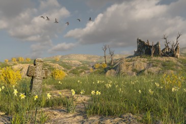 Desolate Spring