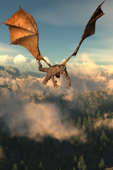 Dragon flight
