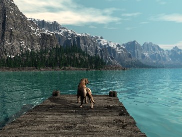 Lake Moraine