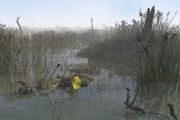 Mere of the dead men