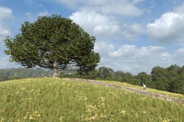 The Shawshank tree