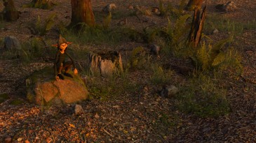 Sunrise in Tantrevalles