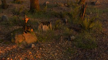 Sunrise in Tantrevalles