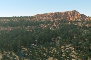 To the West