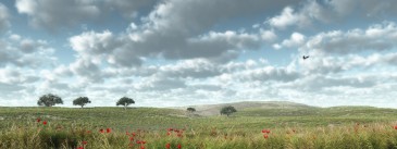 Wide landscape