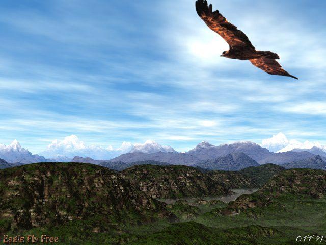 Eagle fly free first version