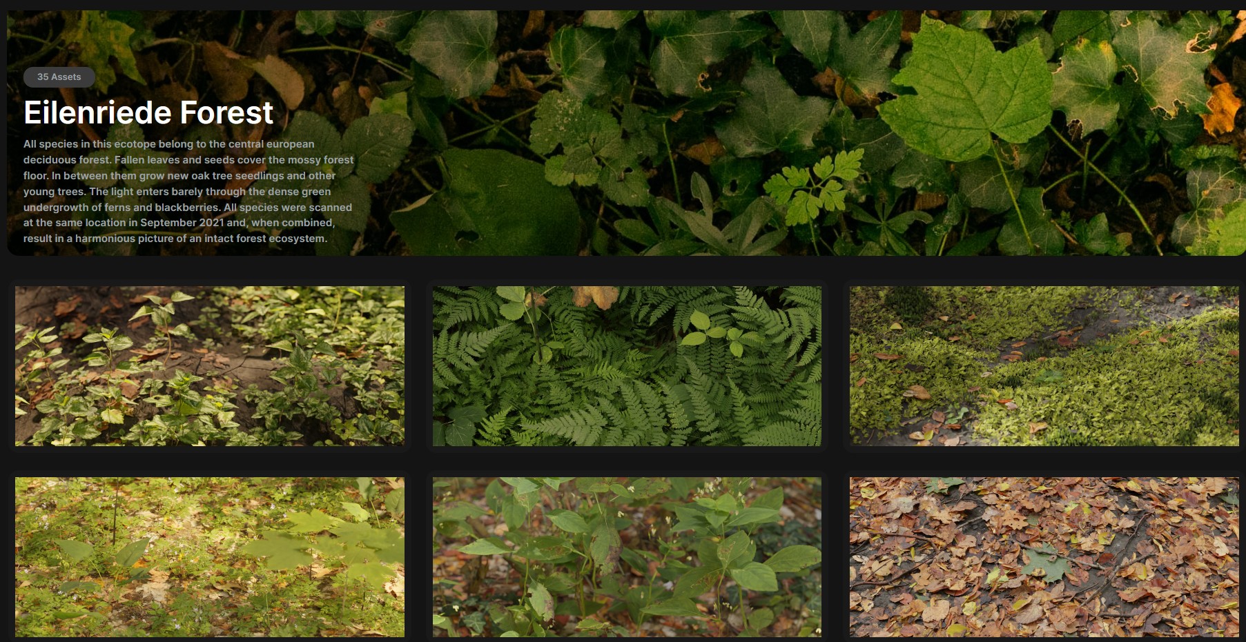 Evermotion Biome