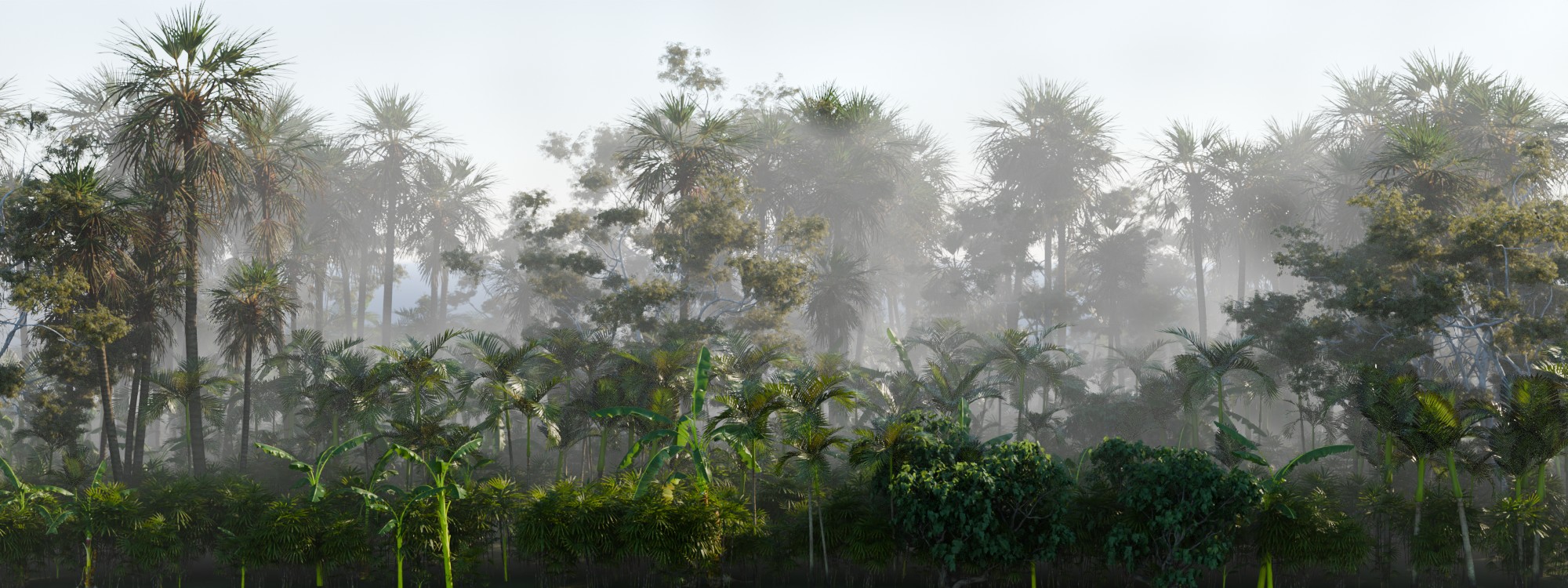 A Botaniq tropical biome